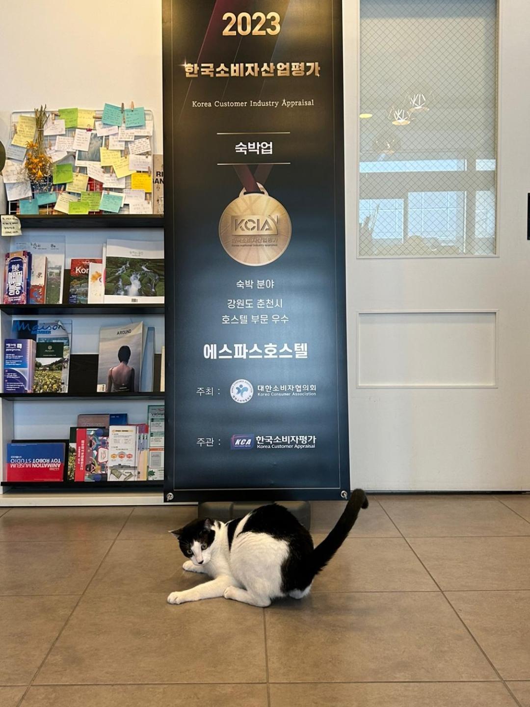 Hostel Espace Chuncheon Zewnętrze zdjęcie