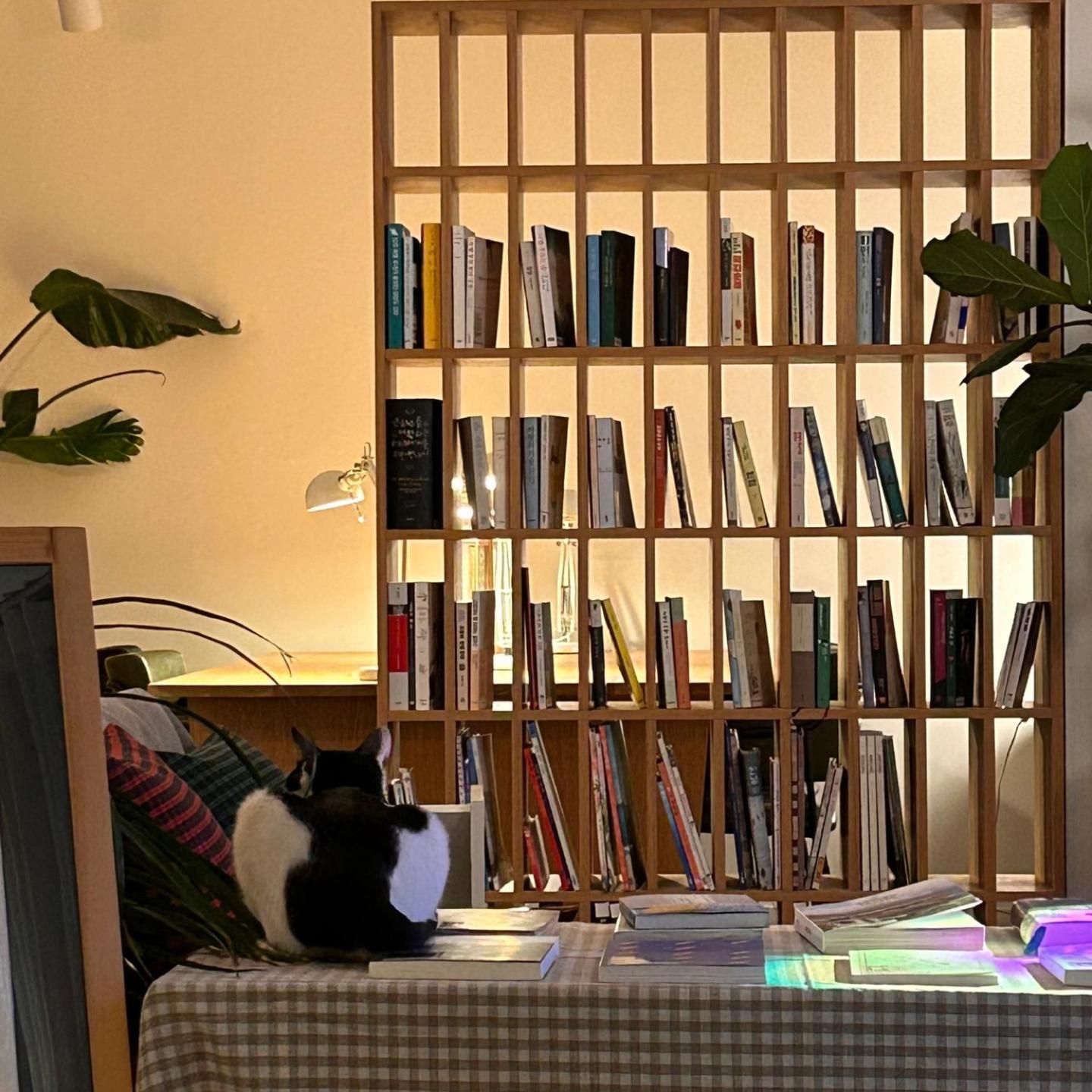 Hostel Espace Chuncheon Zewnętrze zdjęcie
